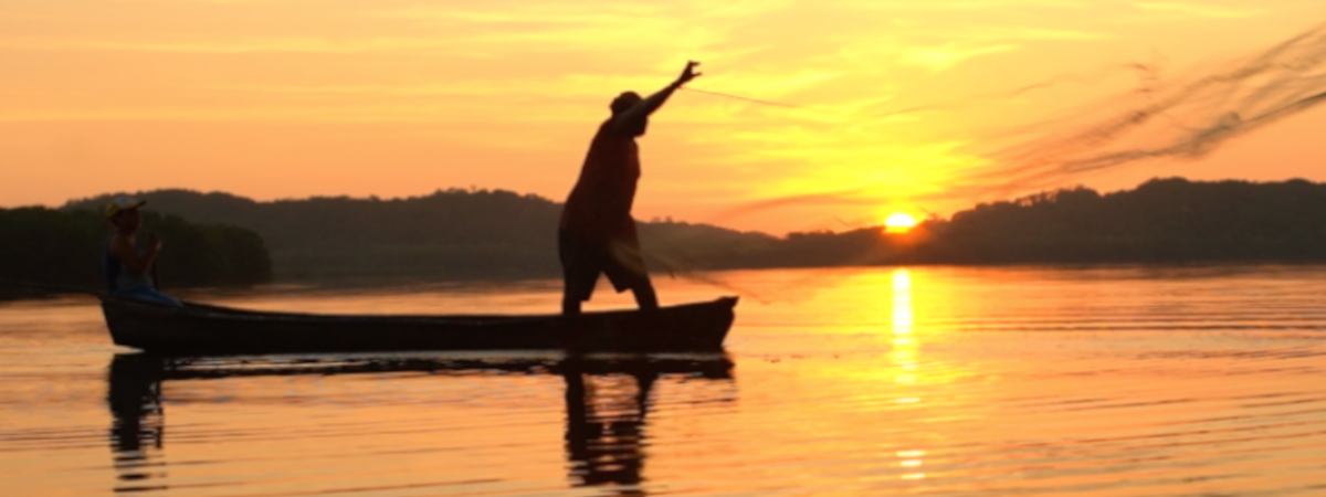 Pesca