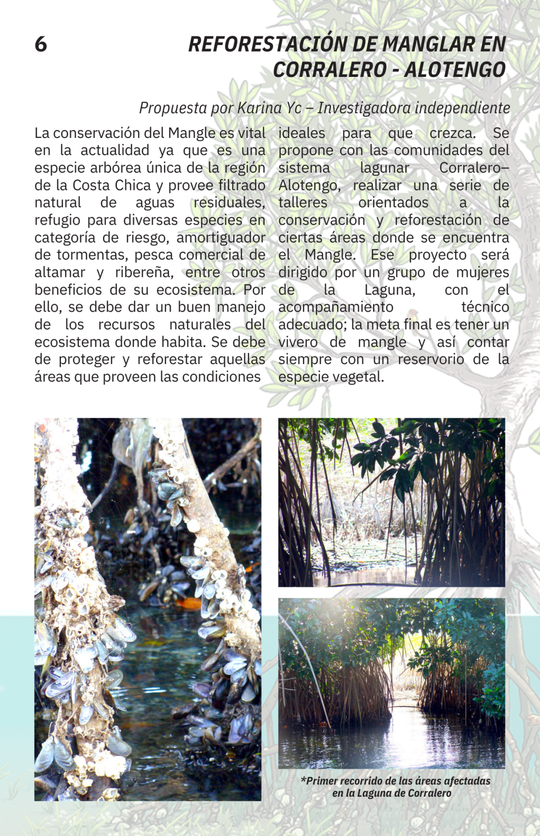 cuaderno6